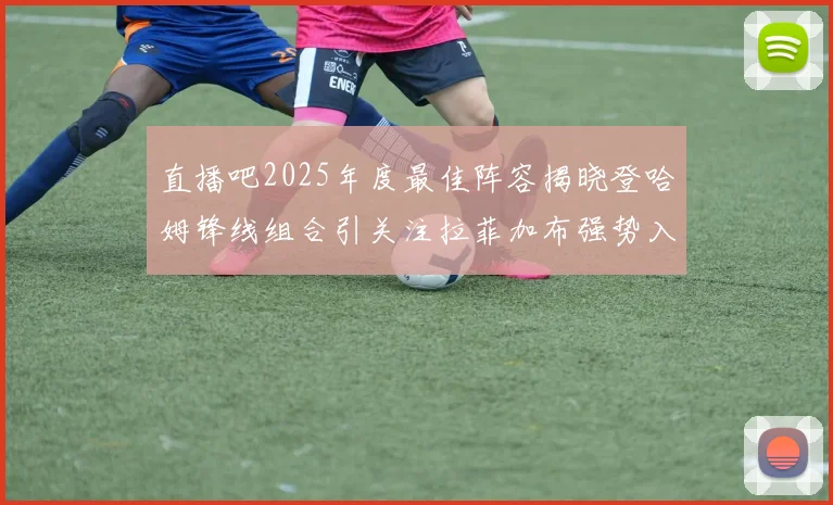 直播吧2025年度最佳阵容揭晓登哈姆锋线组合引关注拉菲加布强势入选
