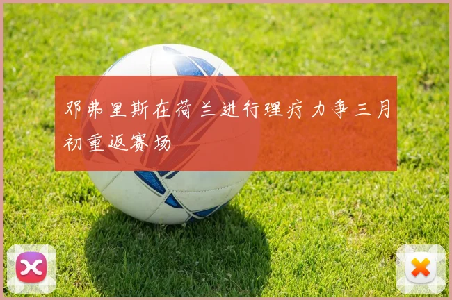 邓弗里斯在荷兰进行理疗力争三月初重返赛场